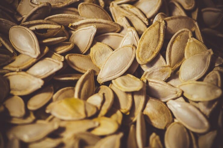 تصویر 2 از قیمت خرید تخمه کدو خام + فروش ویژه
